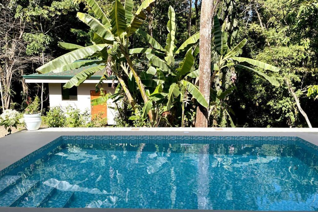An Abundance Of Wildlife At Jungle Glory Home Abajo Manuel Antonio Extérieur photo