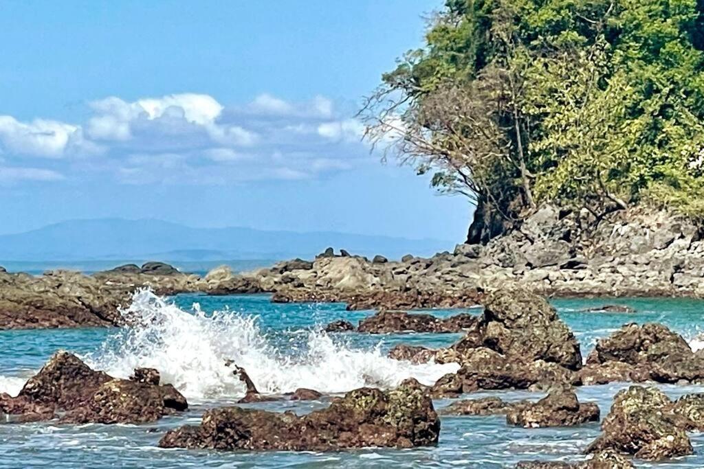 An Abundance Of Wildlife At Jungle Glory Home Abajo Manuel Antonio Extérieur photo
