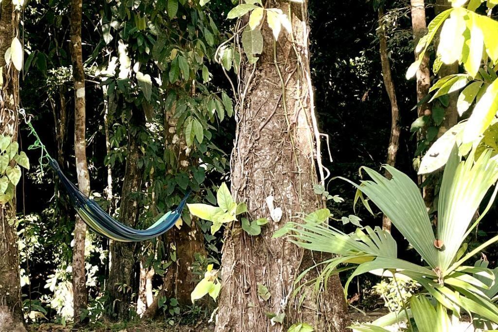 An Abundance Of Wildlife At Jungle Glory Home Abajo Manuel Antonio Extérieur photo
